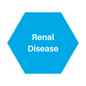 renal disease icon